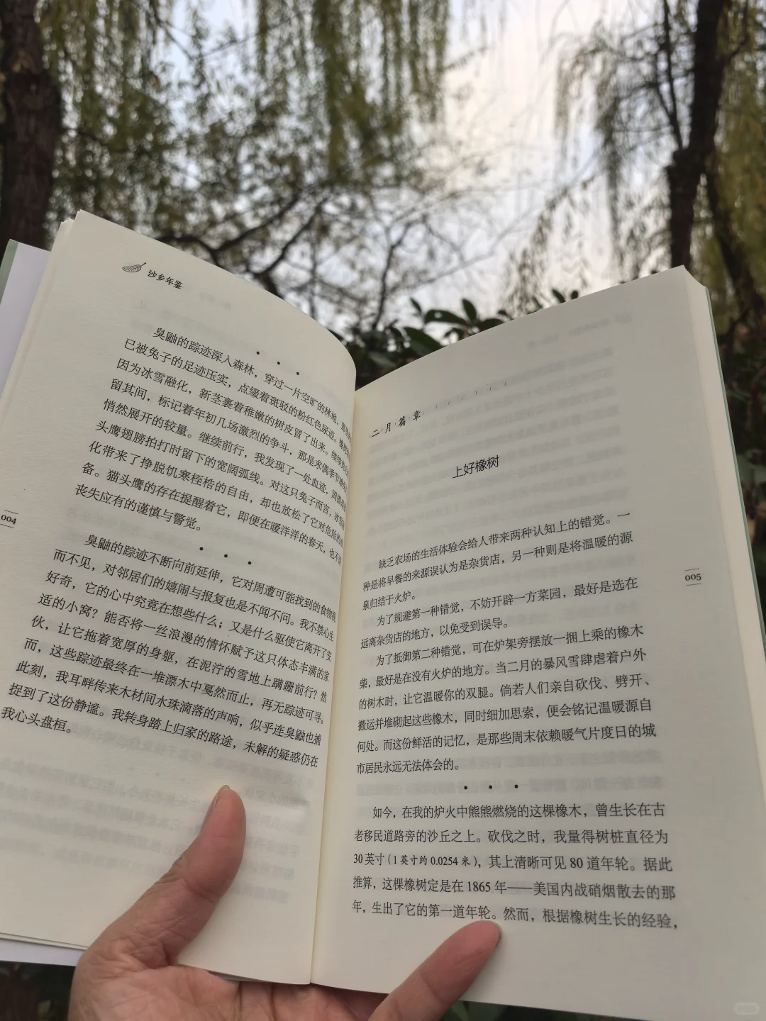 沙乡年鉴