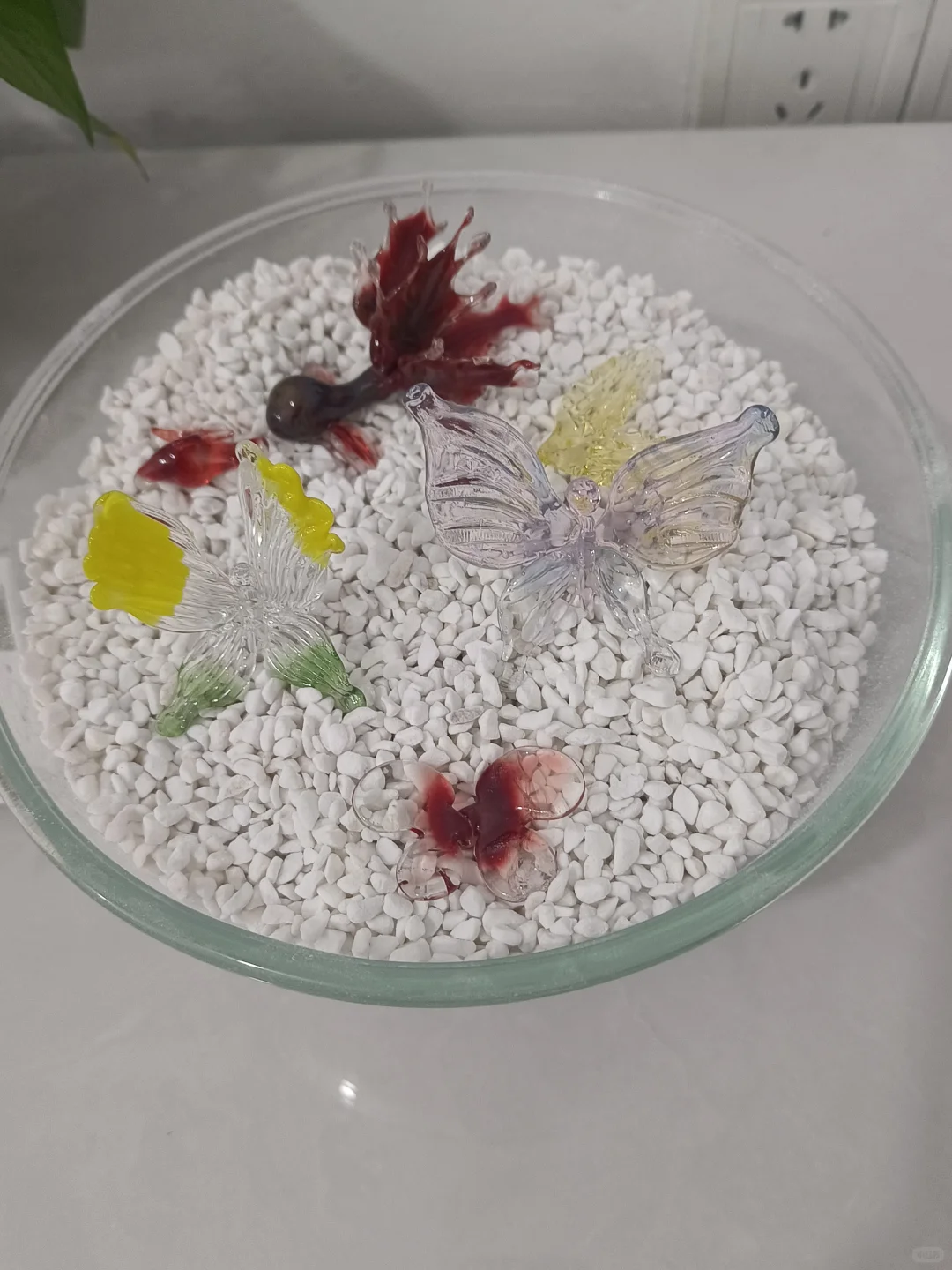 烧玻璃不限量，今日小分享！