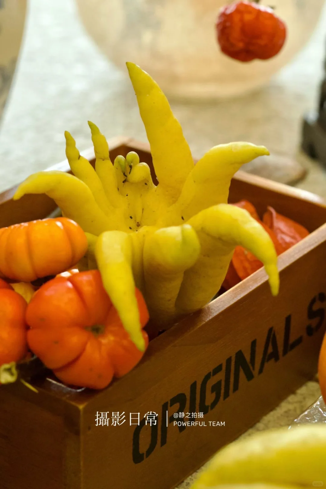 高质感朋友圈打造｜只晒3件事，吸引同频贵人