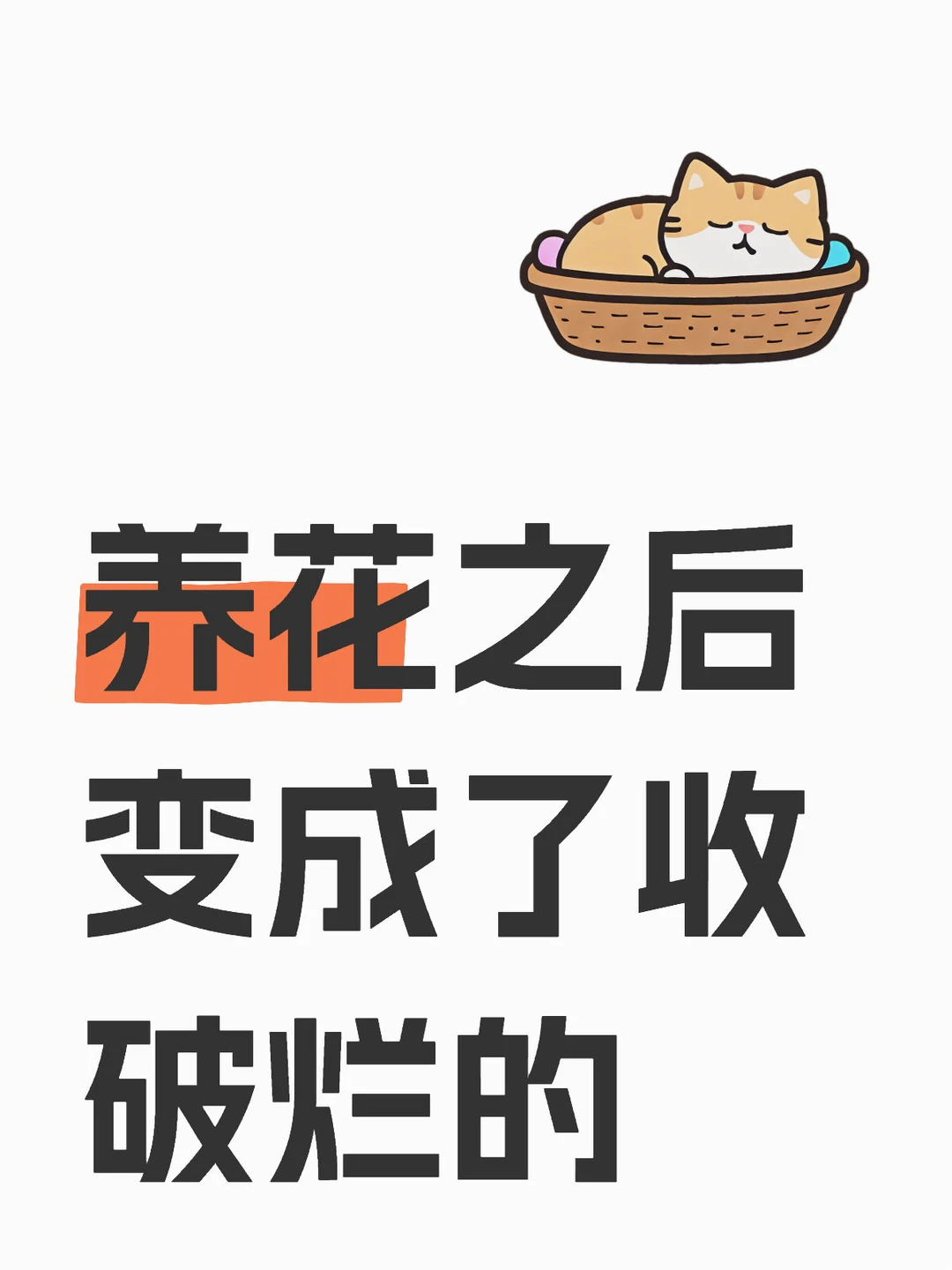 养花之后啥都能废物利用一下