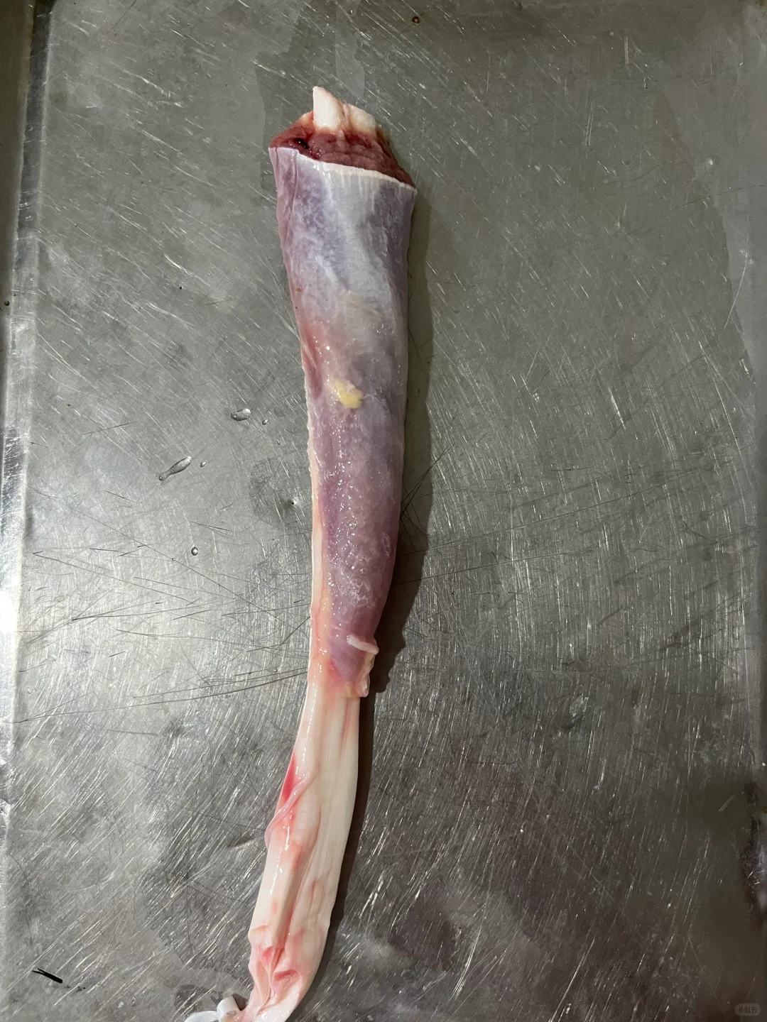 有要的鸵鸟肉的联系