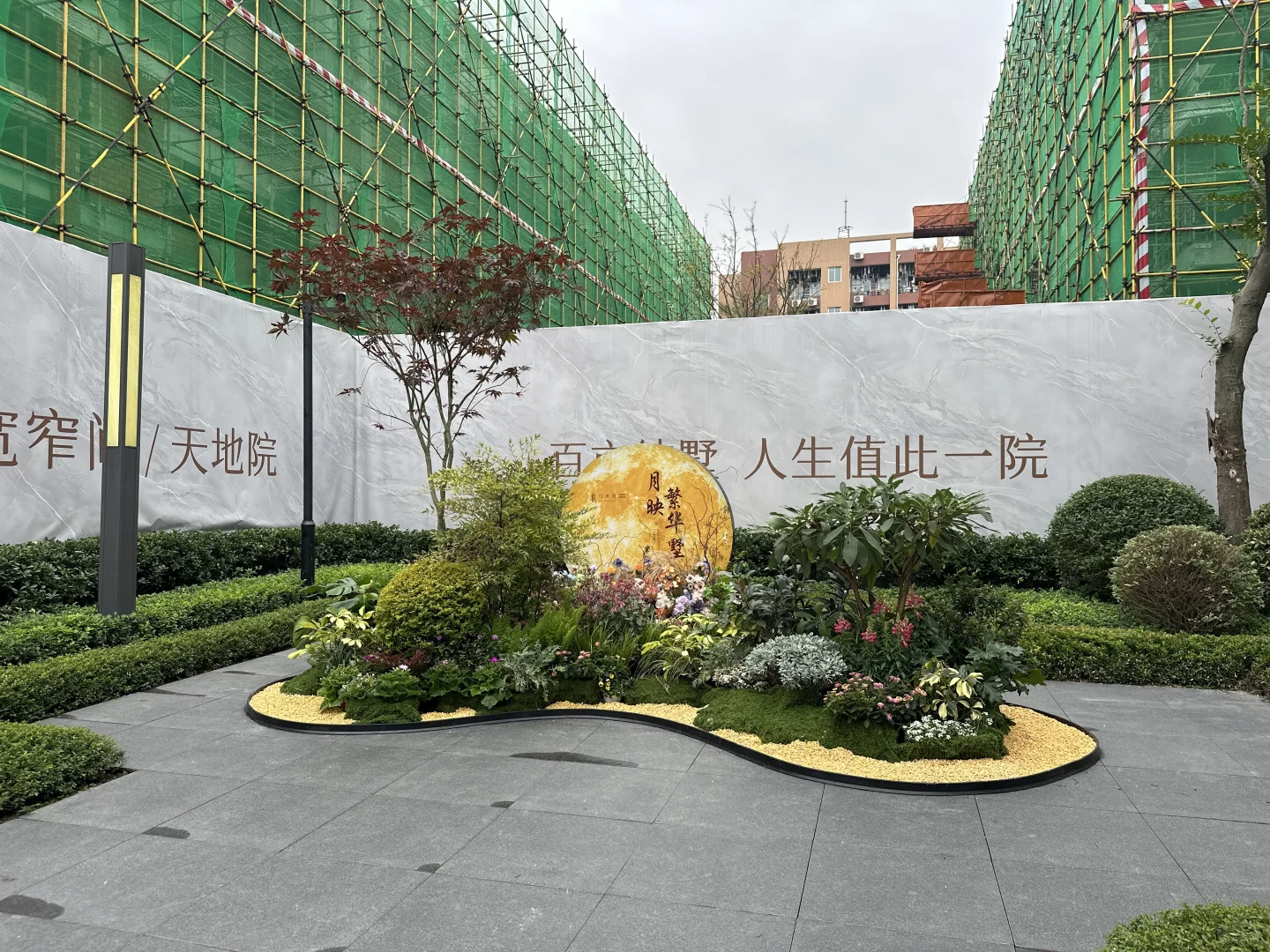 相信没有土也可以做出高级长效花境吗？