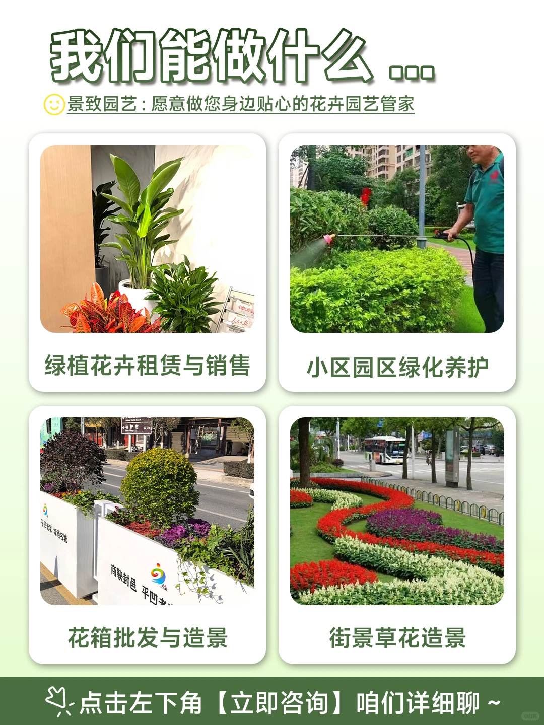 西安绿植租赁丨公司绿植布置太难搞？看这里