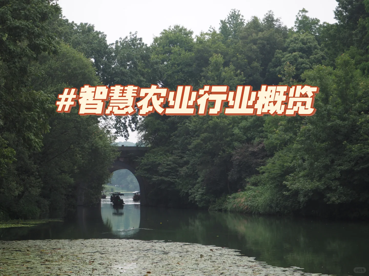 #智慧农业行业概览