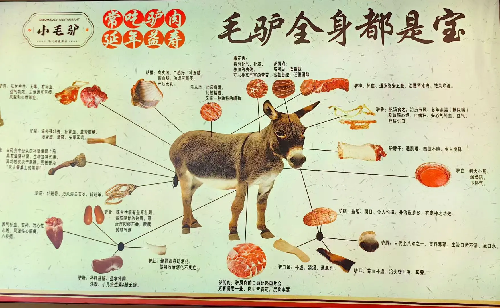 毛驴全身都是宝