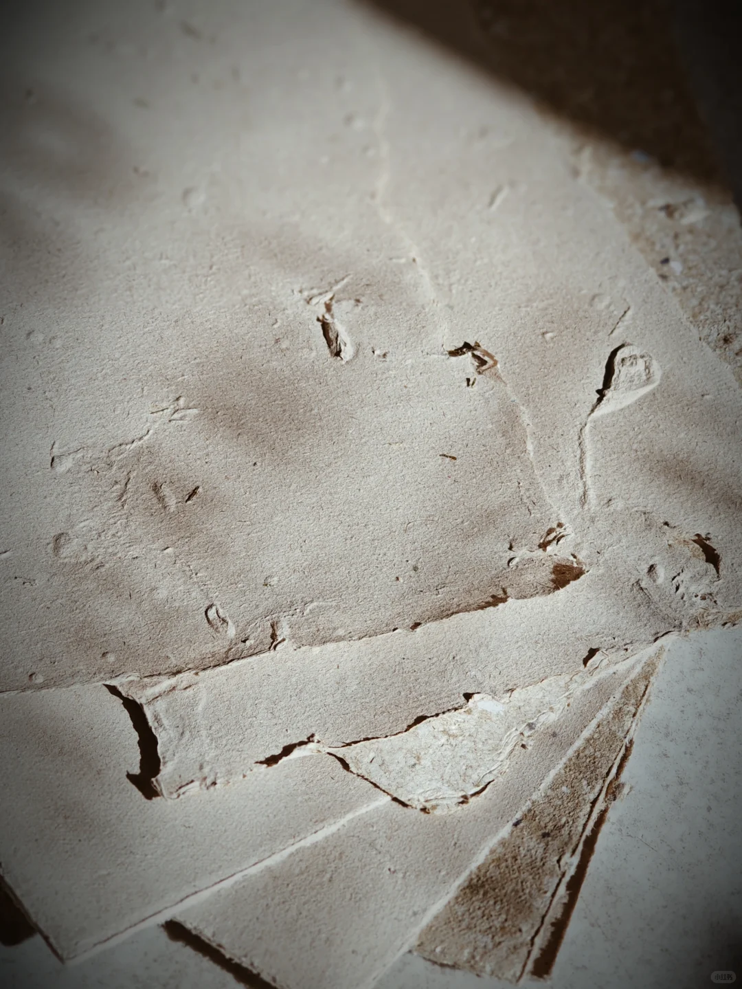 咖啡托的变身记