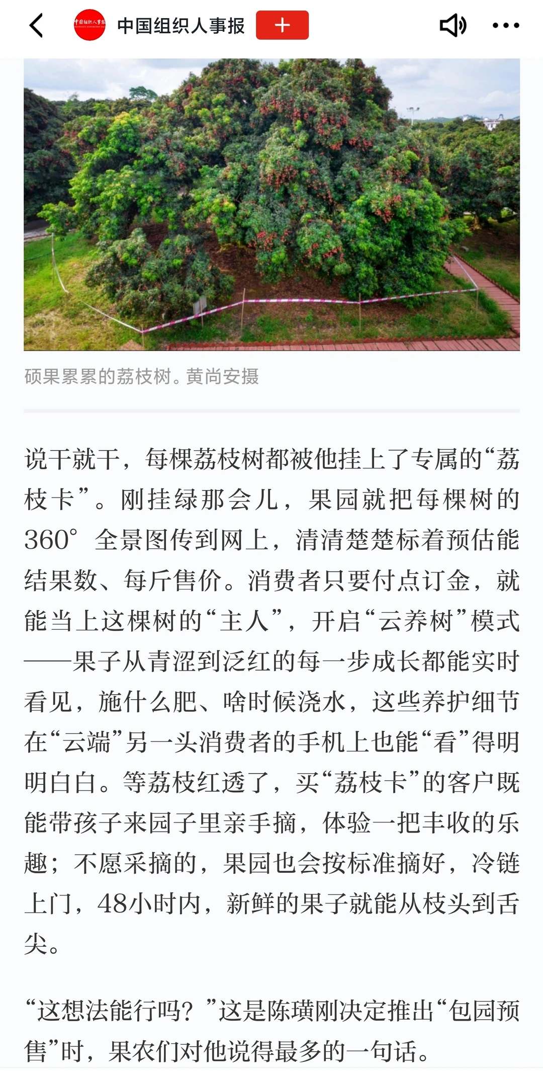 【写作素材】“新农人”故事-陈璜