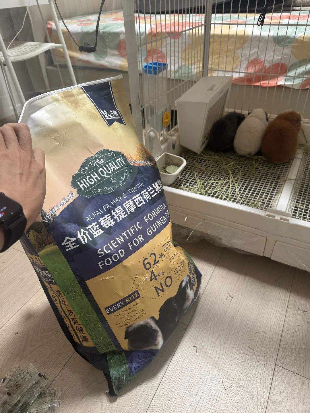10kg 的牛宠蓝莓猪粮吓到我