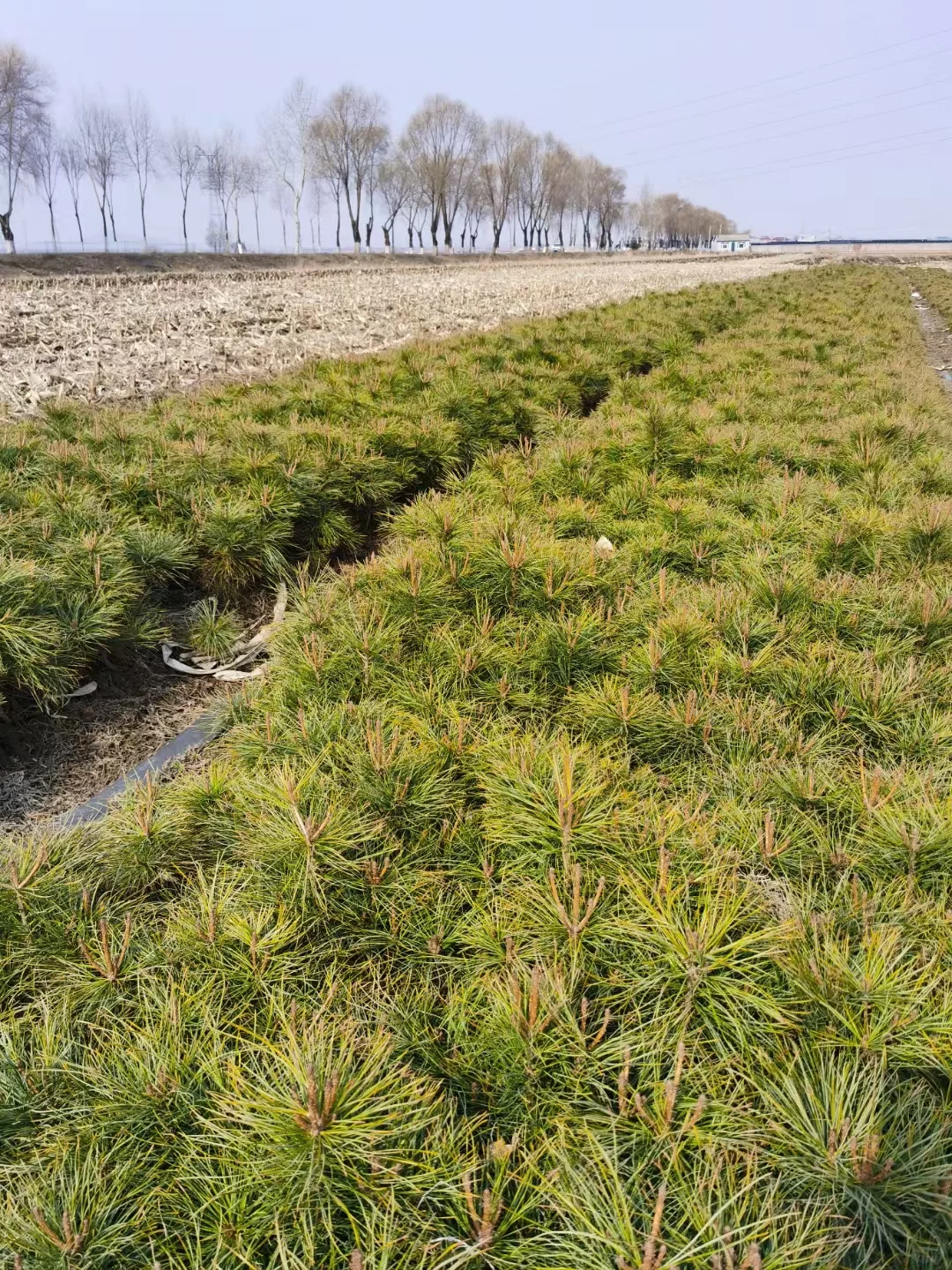 走过路过的各位老板来瞧一瞧看一看