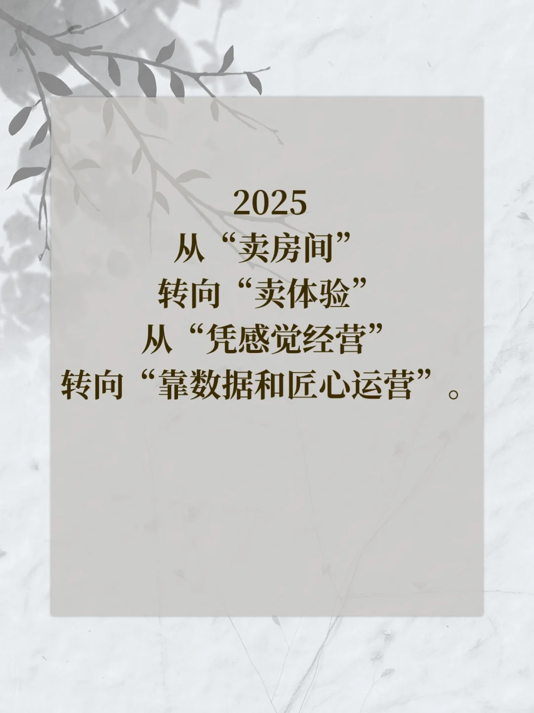 2025年乡村民宿的破局