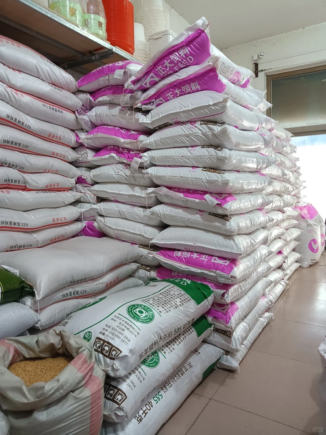 想要鸡产蛋稳定就用这款饲料