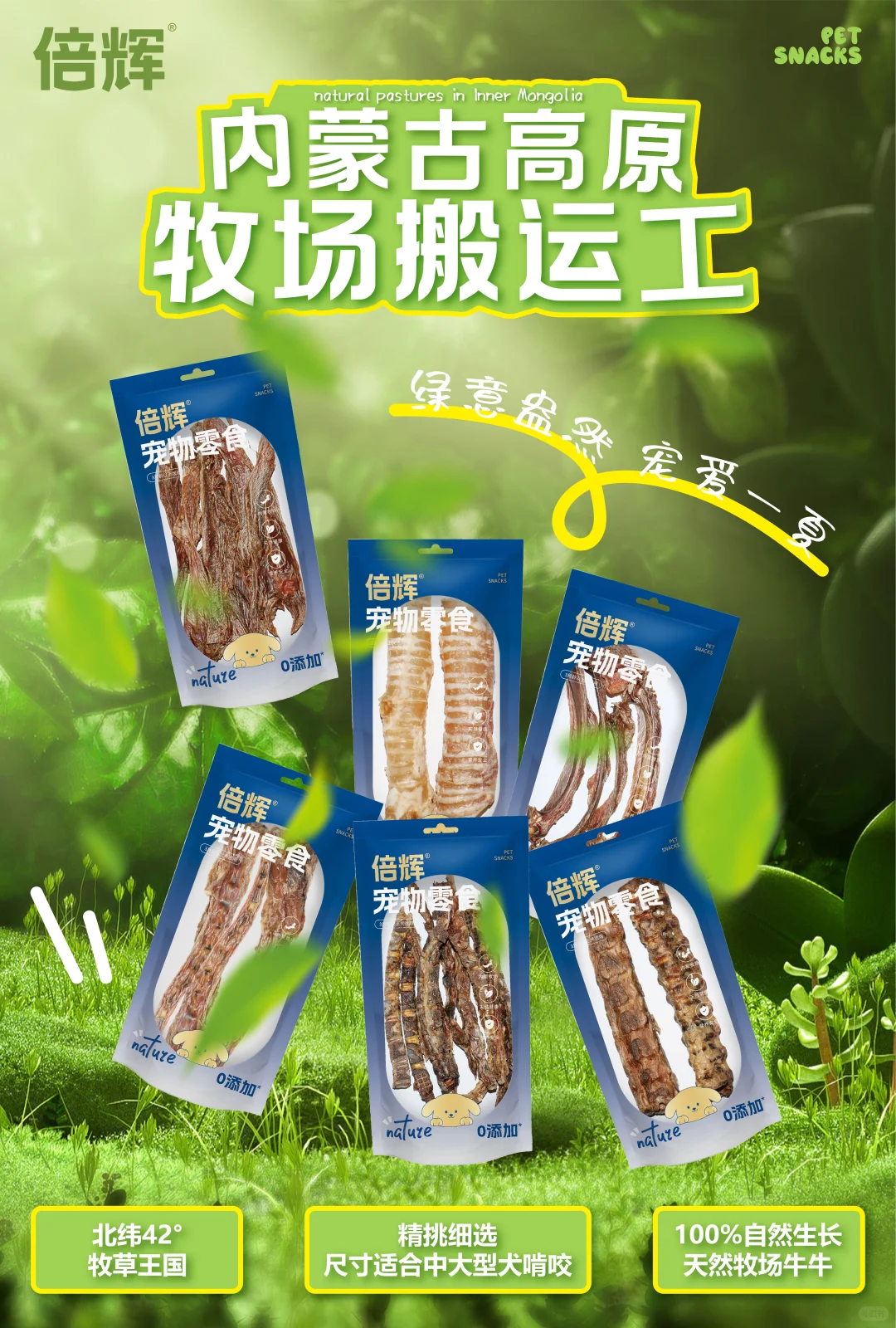 我们是内蒙古高原牧场搬运工