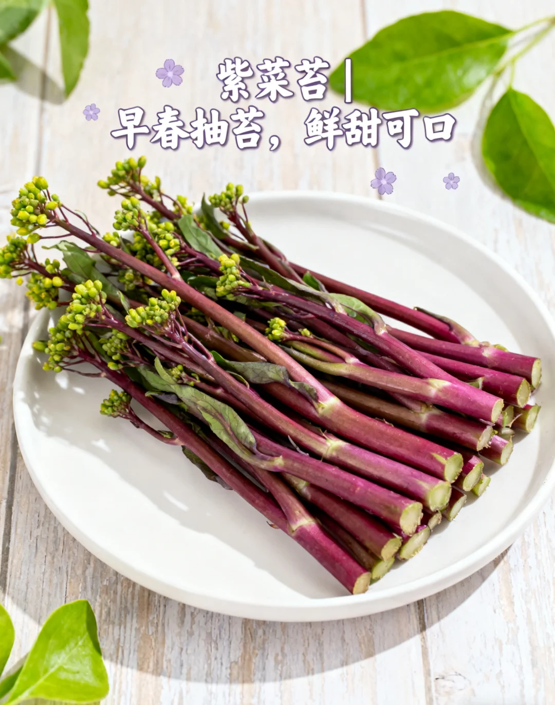 山东11月种菜清单｜14种耐寒菜！新手闭眼冲?