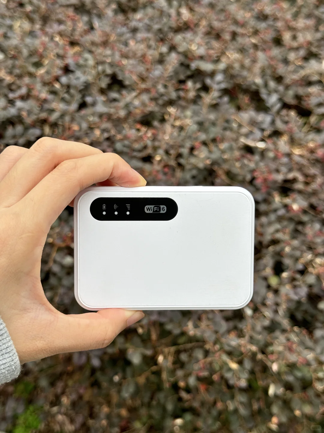 重生之我在现代买wifi