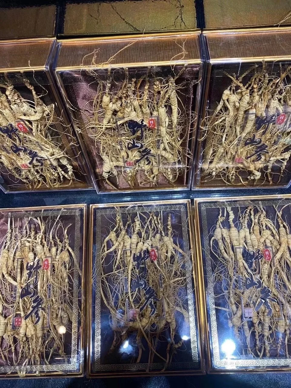 林下参籽货！