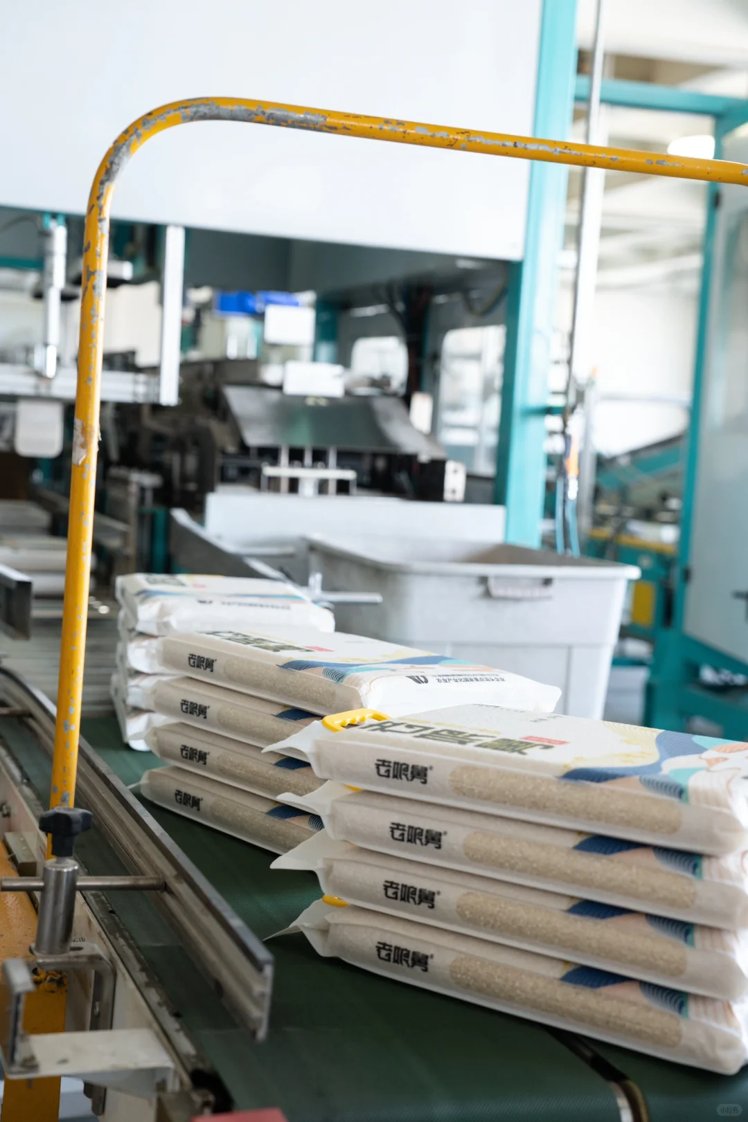 一起走进老娘舅的车间，我们是源头厂家