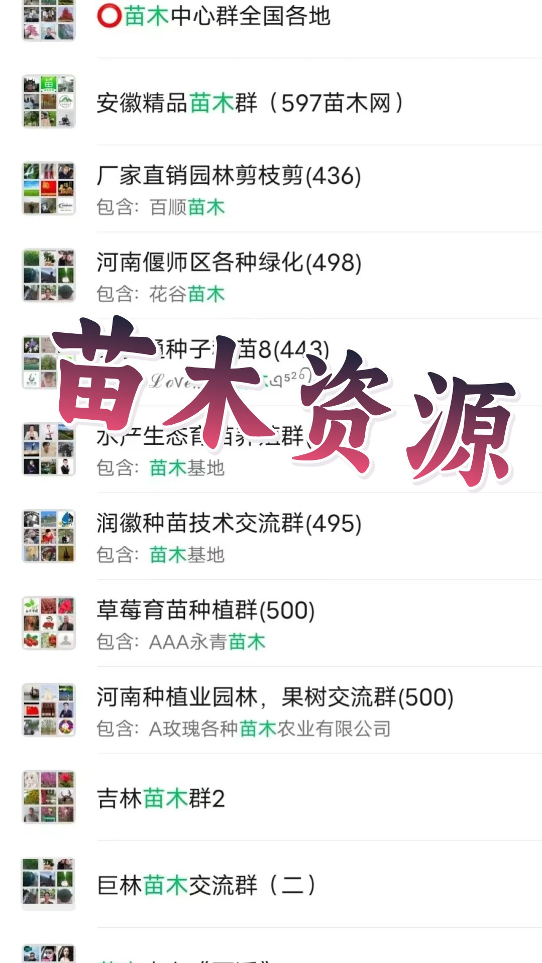 苗木人紧急集合!全国精品苗木交流群大公开