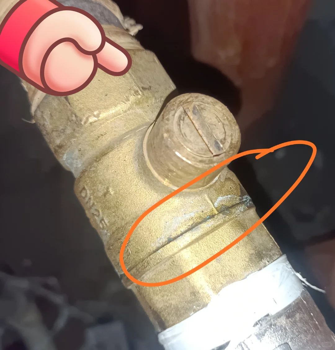 我不找对象就是帮姐妹避雷了