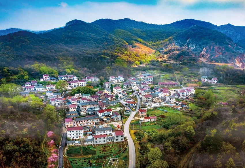 ✨逃离城市！超治愈的乡村文旅玩法?