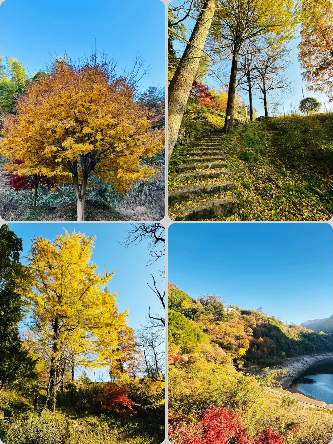 随时四明山，秋季特别赞