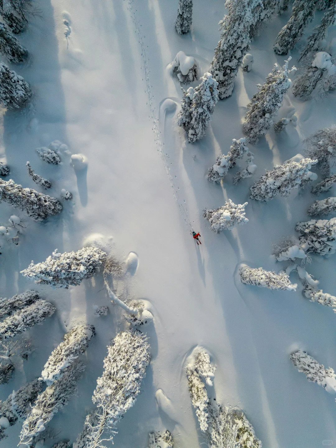大食物观⛰️❄️?