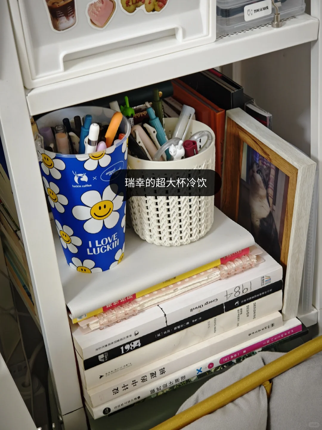 把出租屋变成家?，给租房生活省点钱