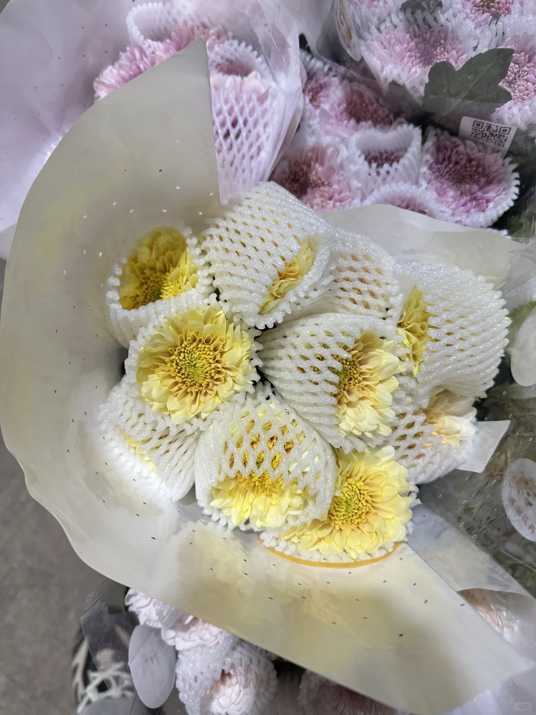 感谢花卉小菊