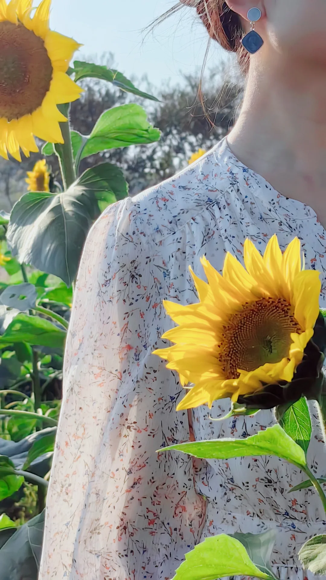 独立英语老师日常「学会吸收能量」