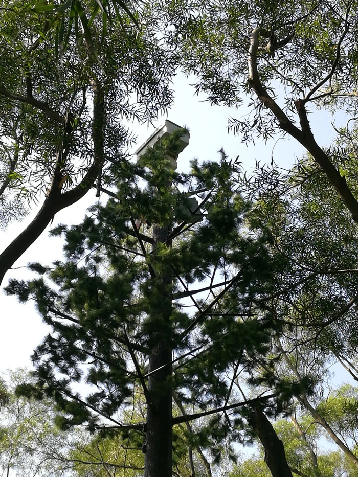 森林防火监控预警工作这几个省份都在行动