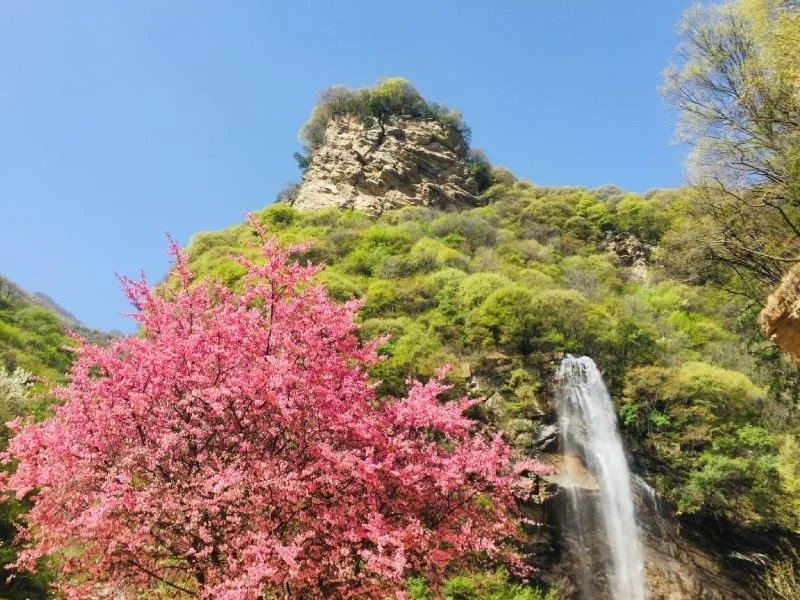愿你心怀希望一路抵达繁华盛景