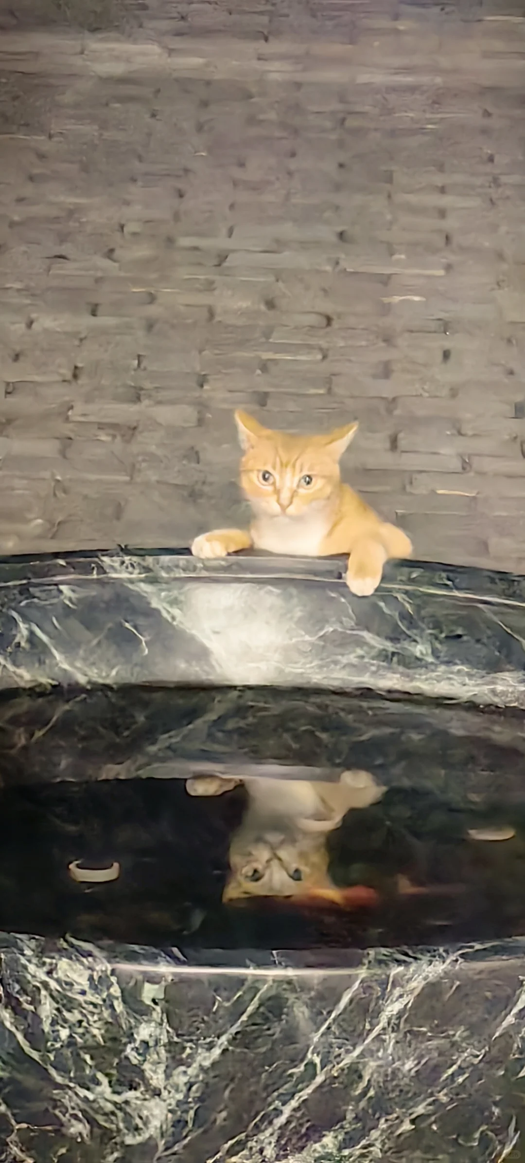 高端私房菜招聘店长店员