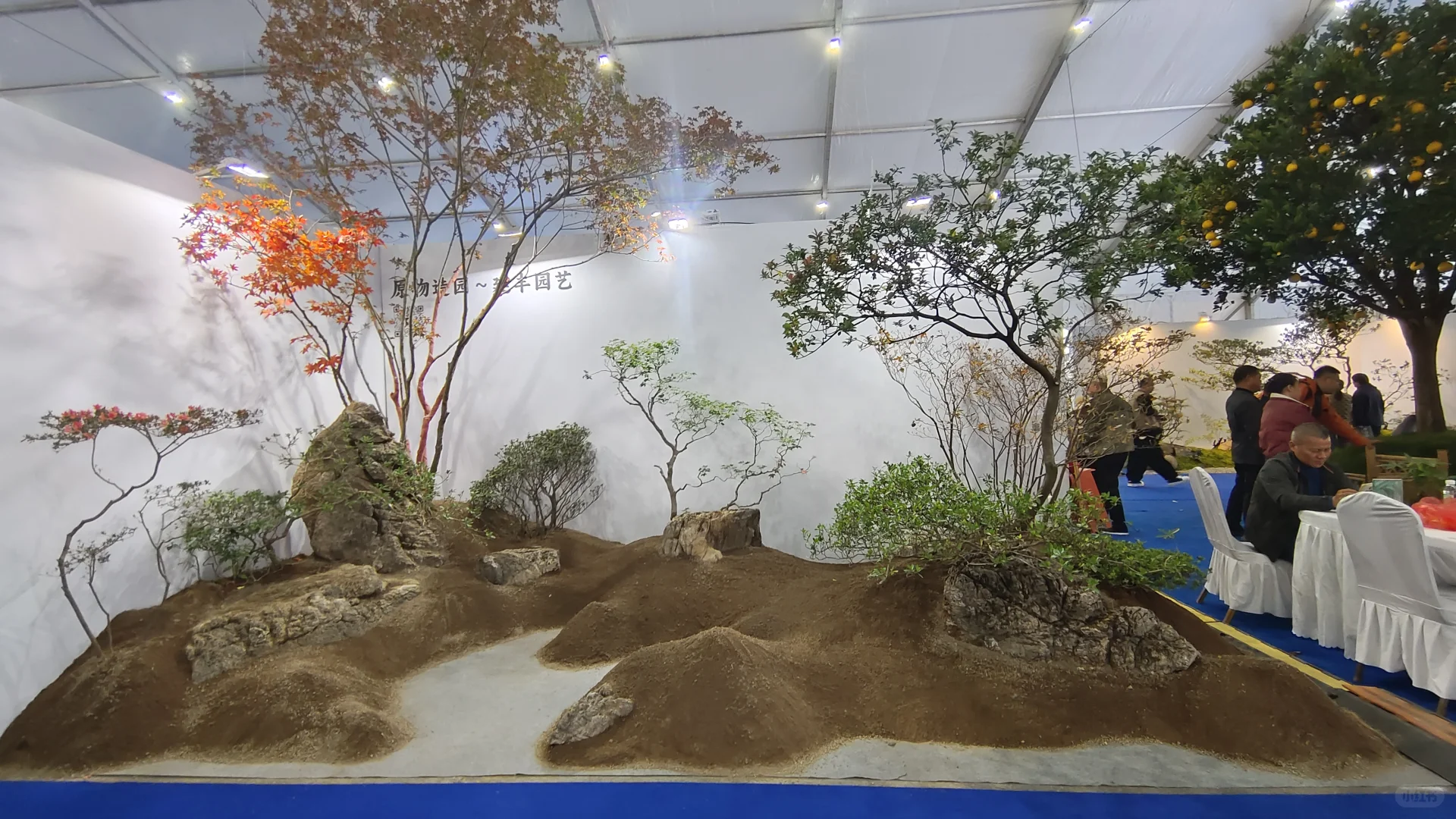 金华花卉苗木博览会