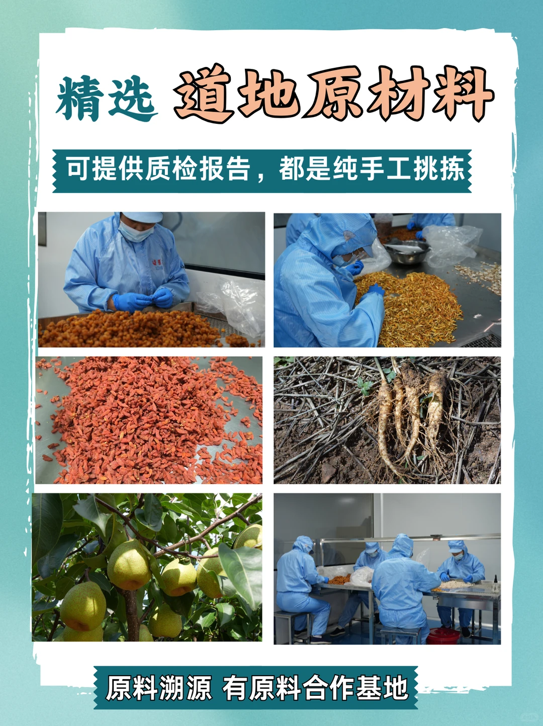 山东聊城大健康食品代工厂｜一站式服务