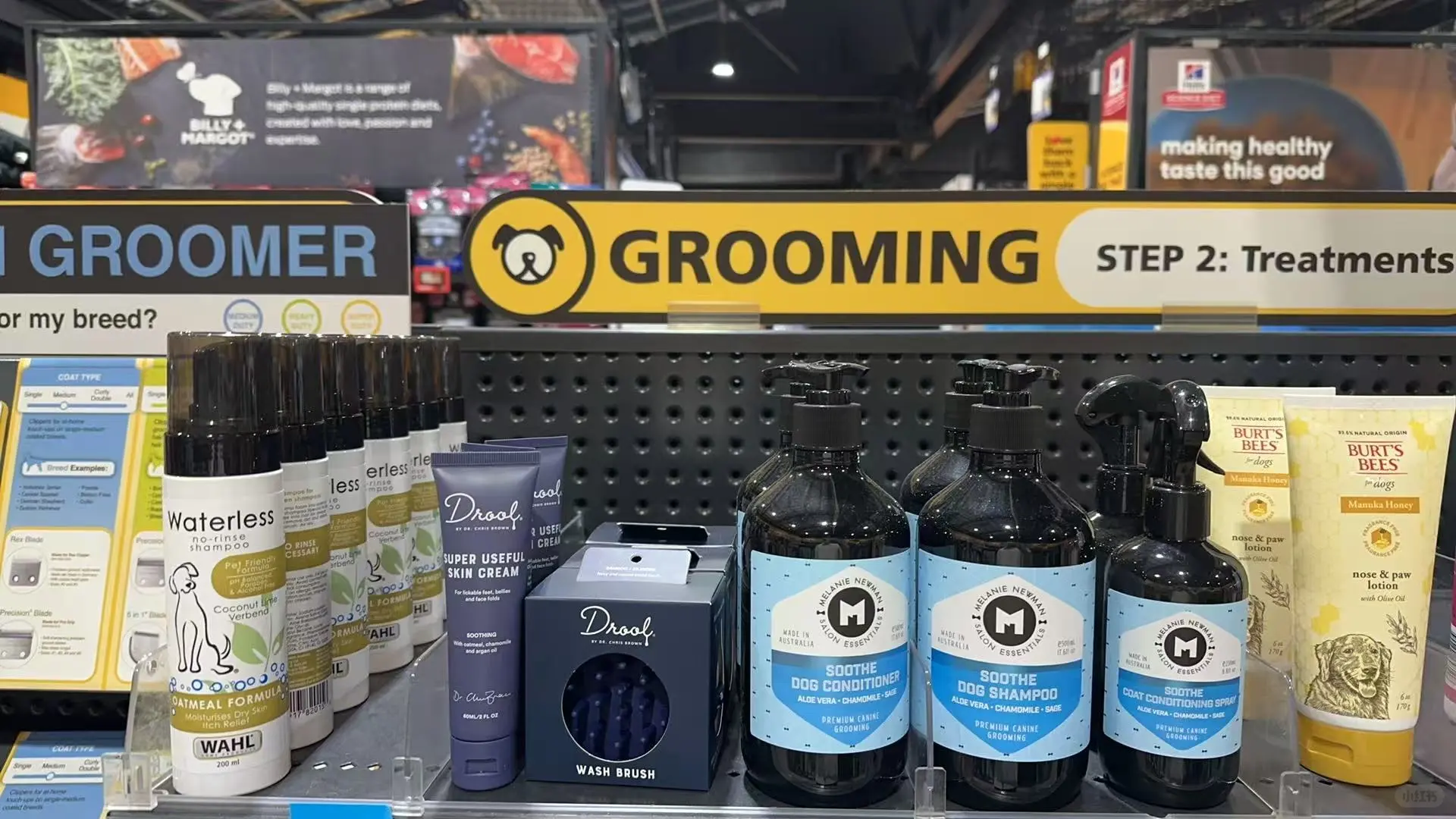 ??澳洲连锁宠物探店?