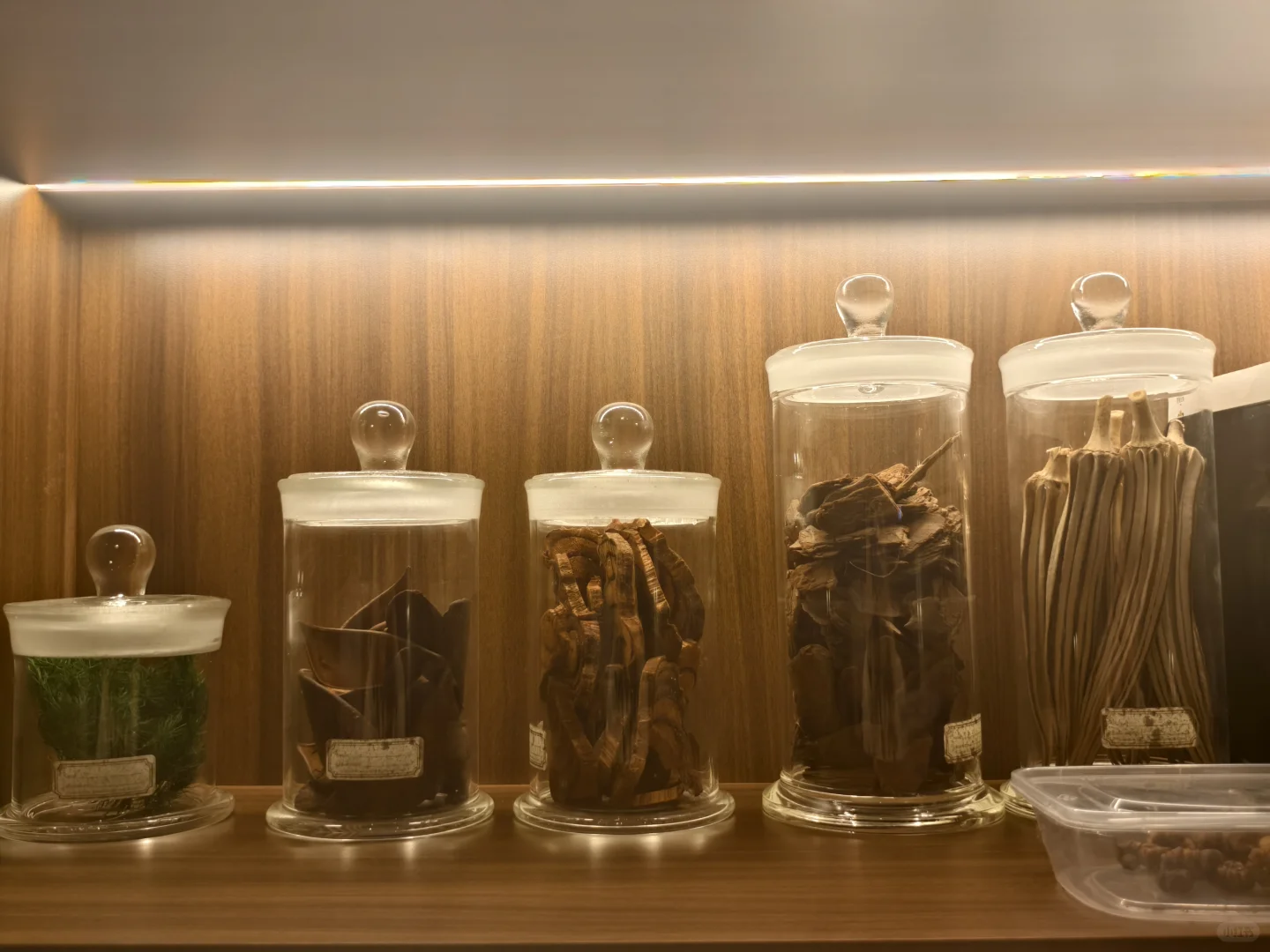 早睡13日|适合带每个crush去的花园餐厅