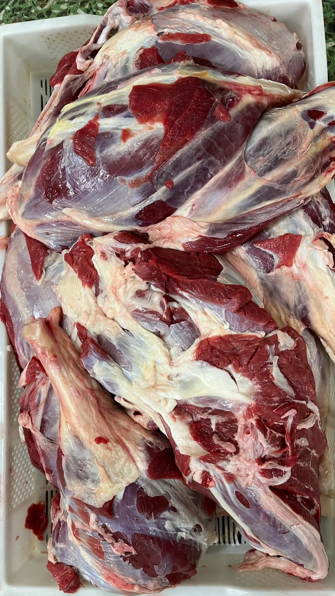 清真定点屠宰…货真价实…全国发货～