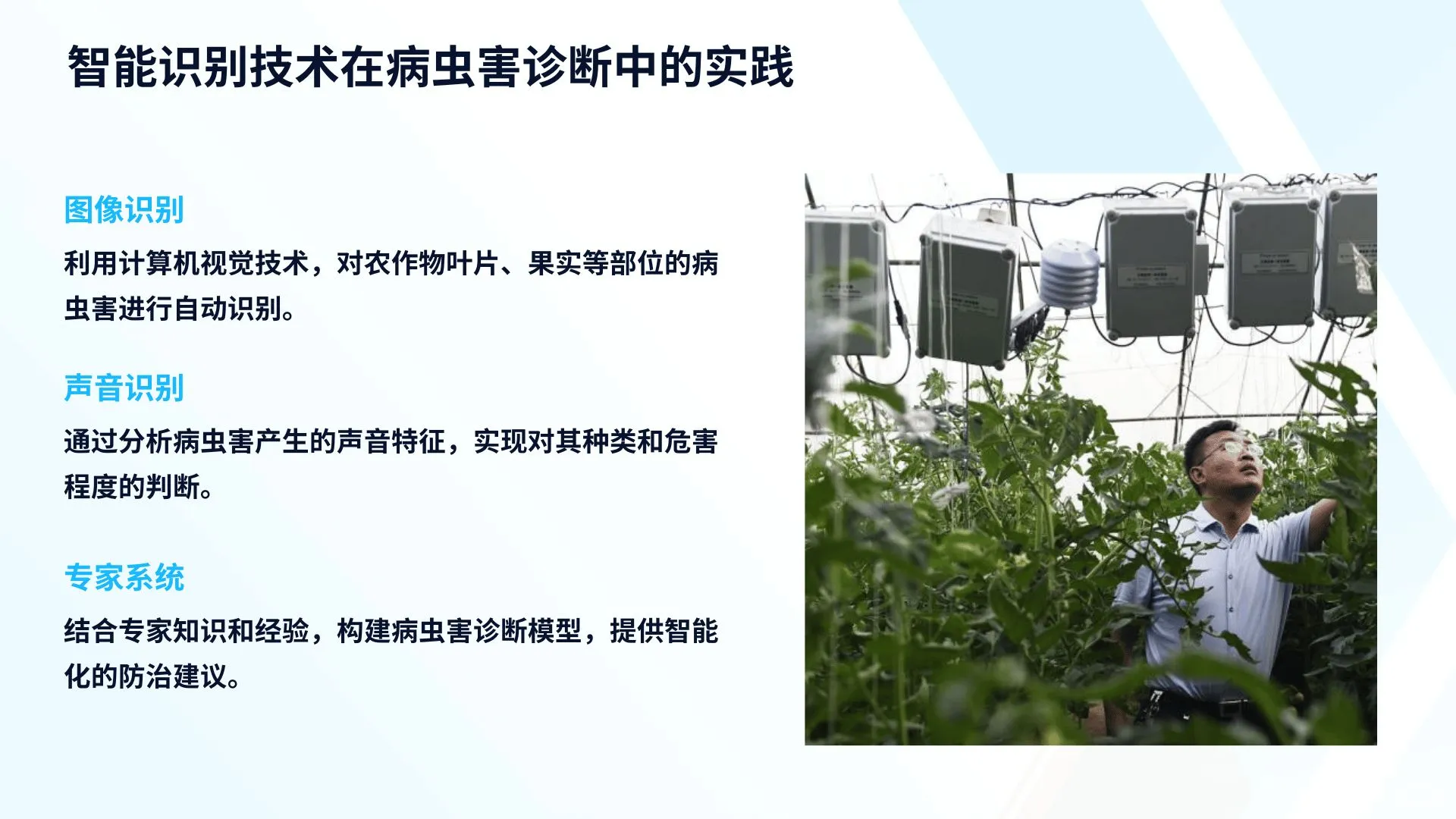 智慧农业中的新技术及其应用成果