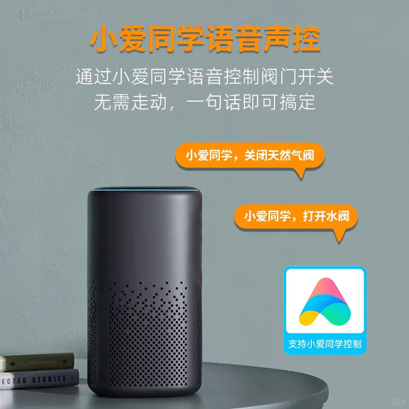 无忧无虑出门玩耍,全靠它俩