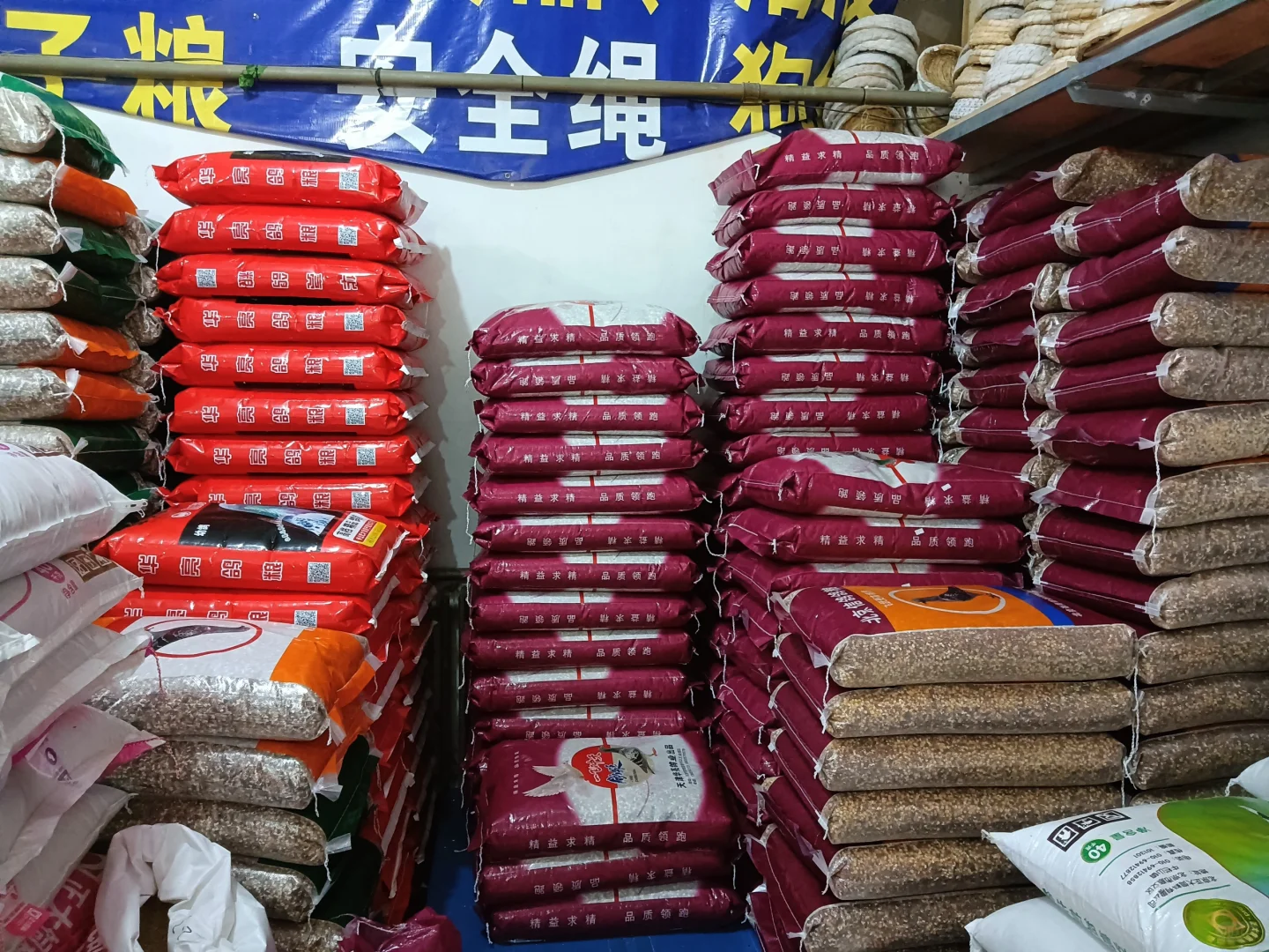 想要鸡产蛋稳定就用这款饲料