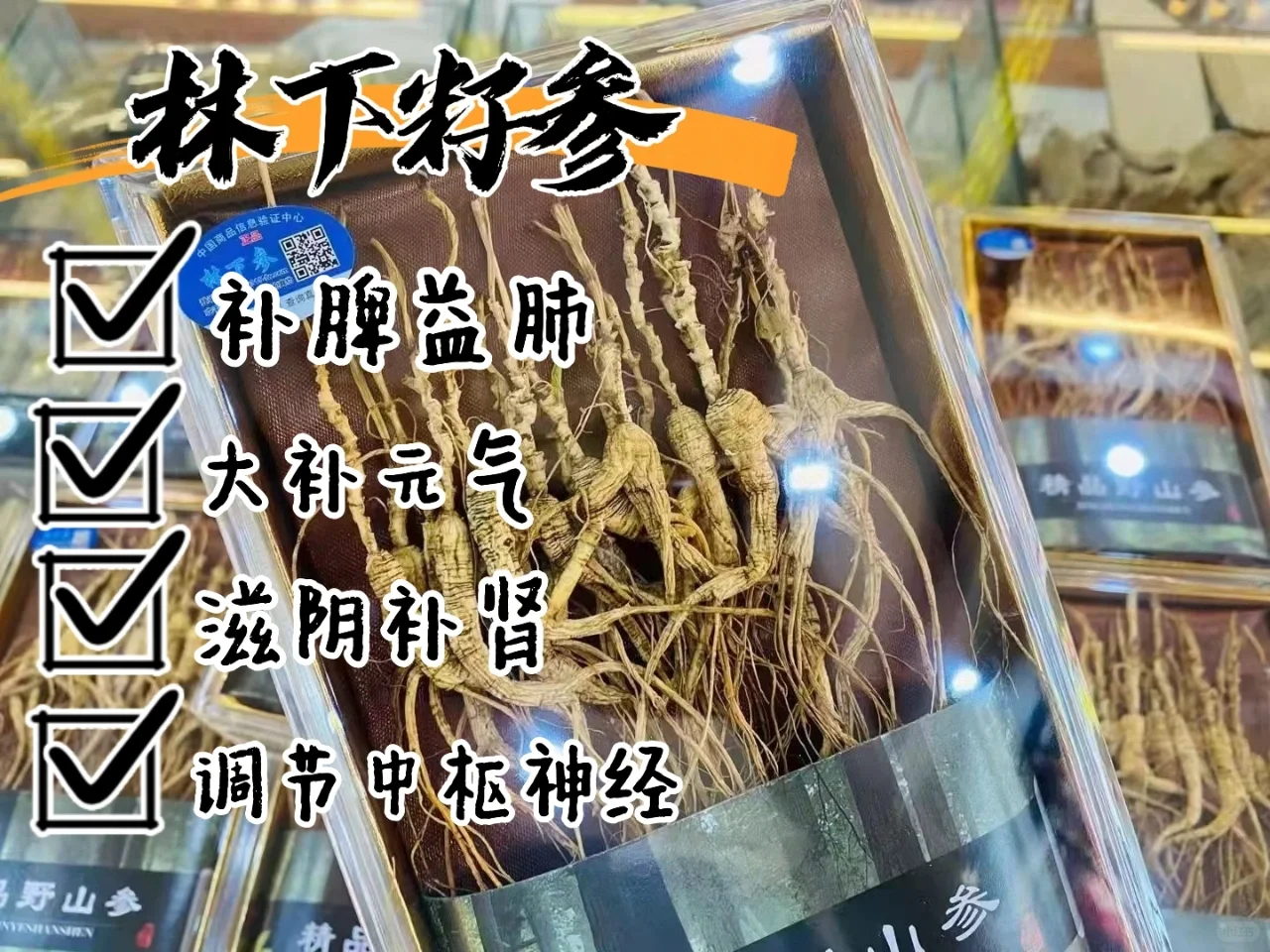 林下籽