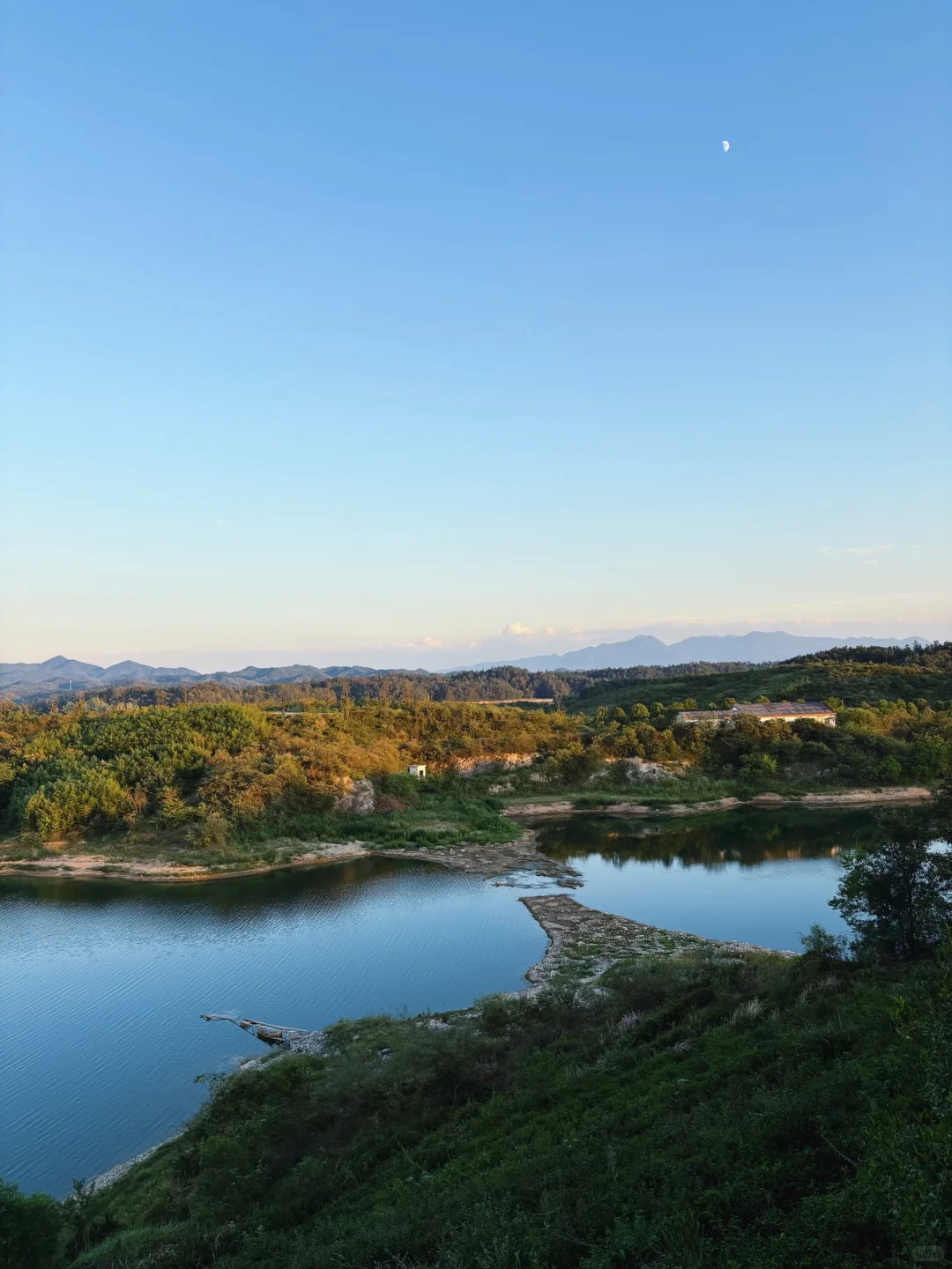 ?6000亩云雾油茶林｜问顶康源溯源之旅