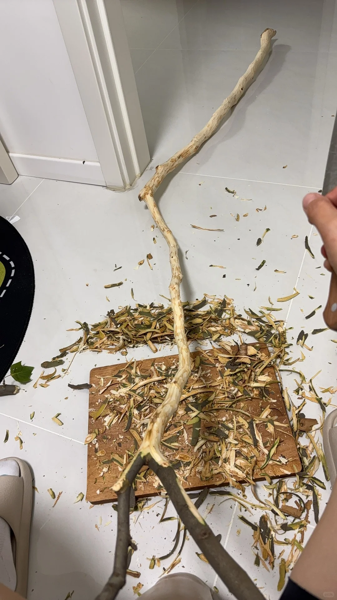 路边的树枝diy 手工