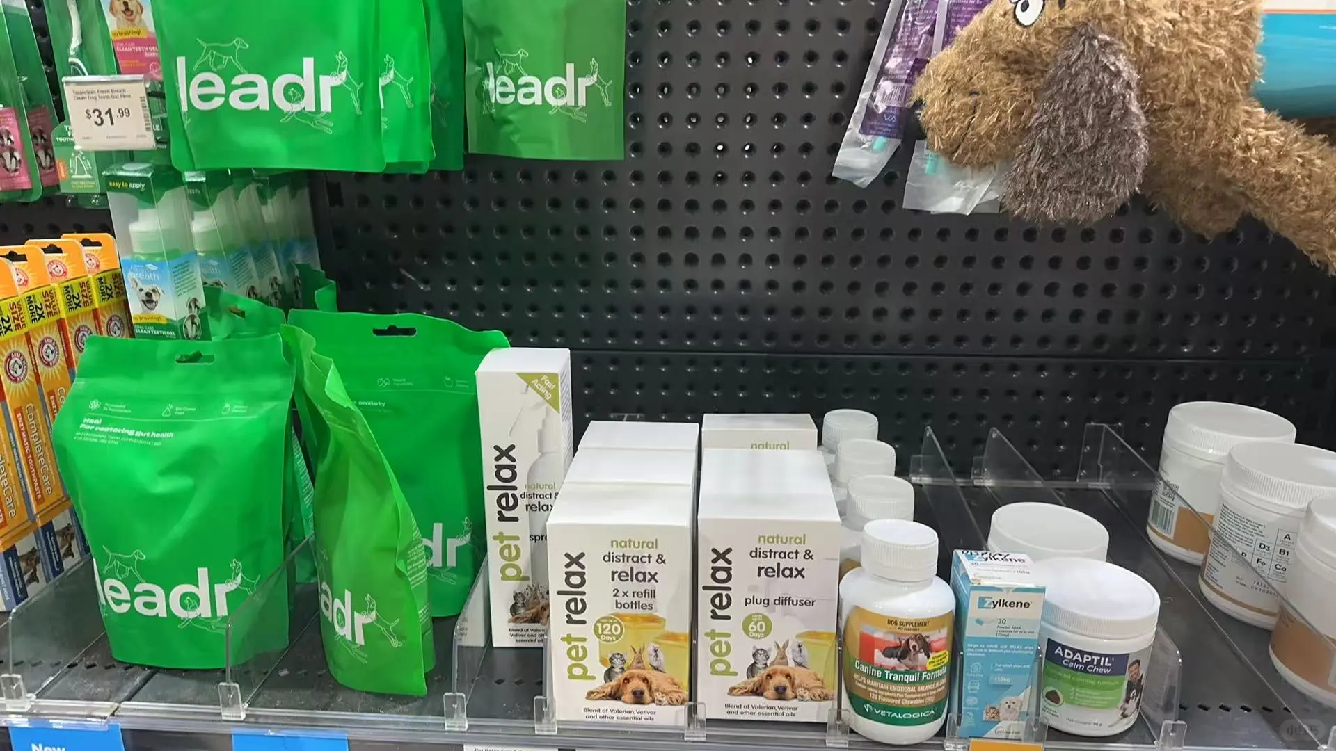 ??澳洲连锁宠物探店?