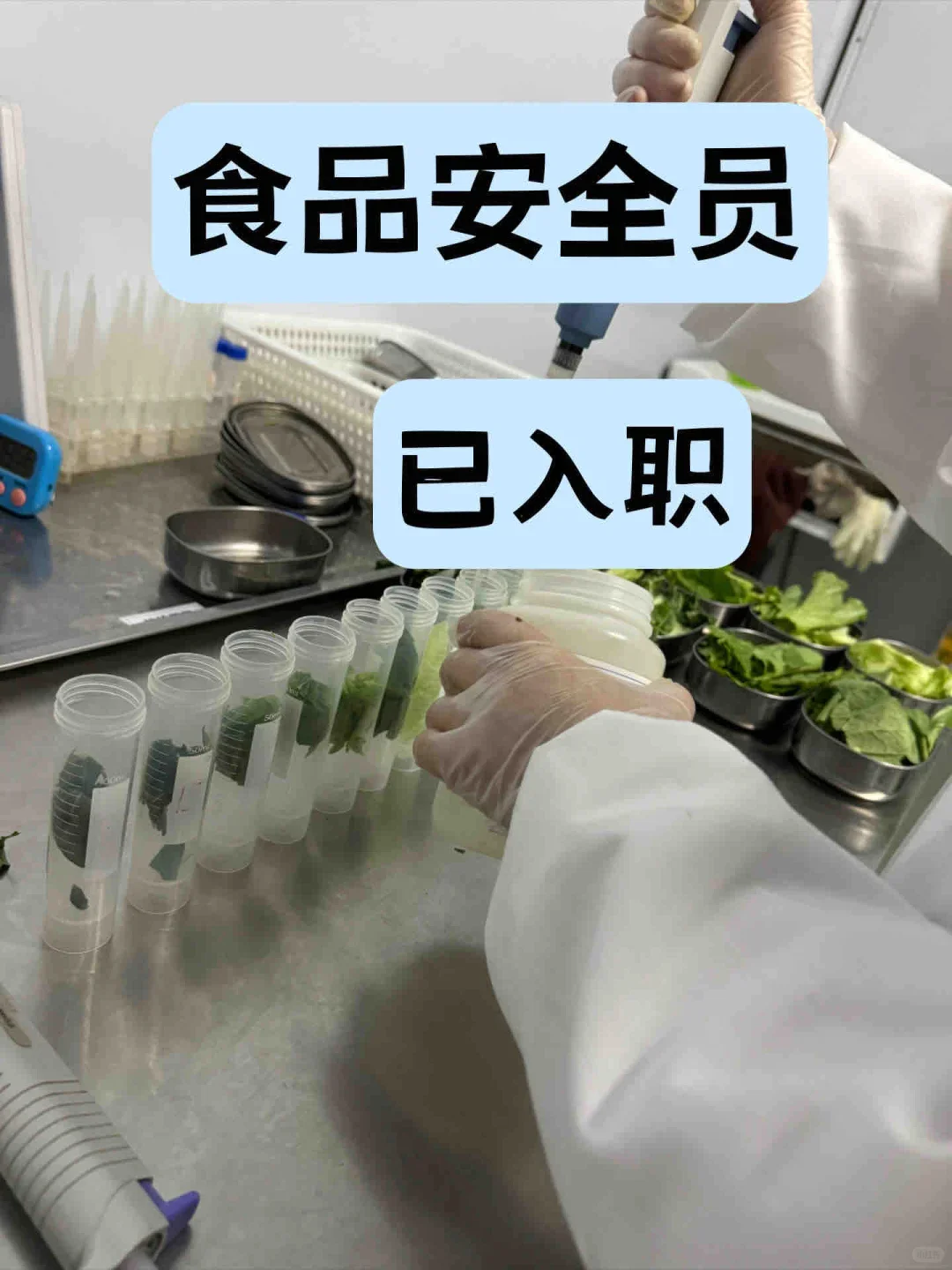 28岁大专，食品安全员双休7000➕知足啦❗️