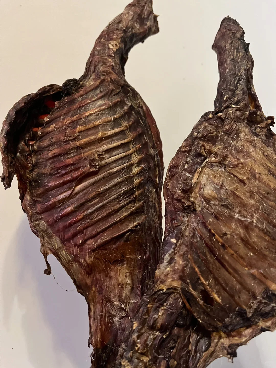 无添加宠物零食有前景吗⁉️