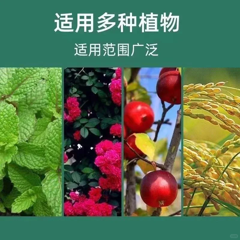 ?让土壤焕发新生，植物茁壮成长?