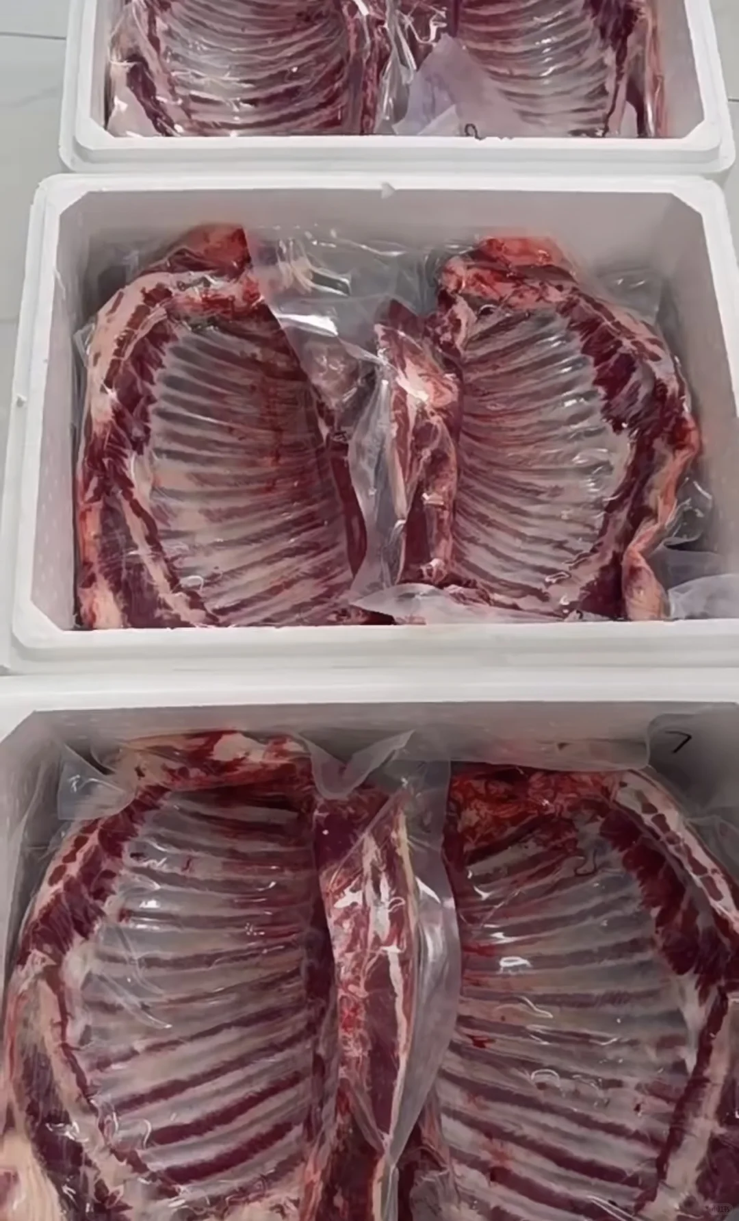 新疆草膘牛羊肉批发???