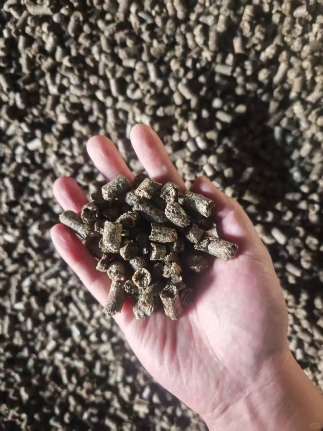 90后外贸人｜农产品进出口一手货源供应商