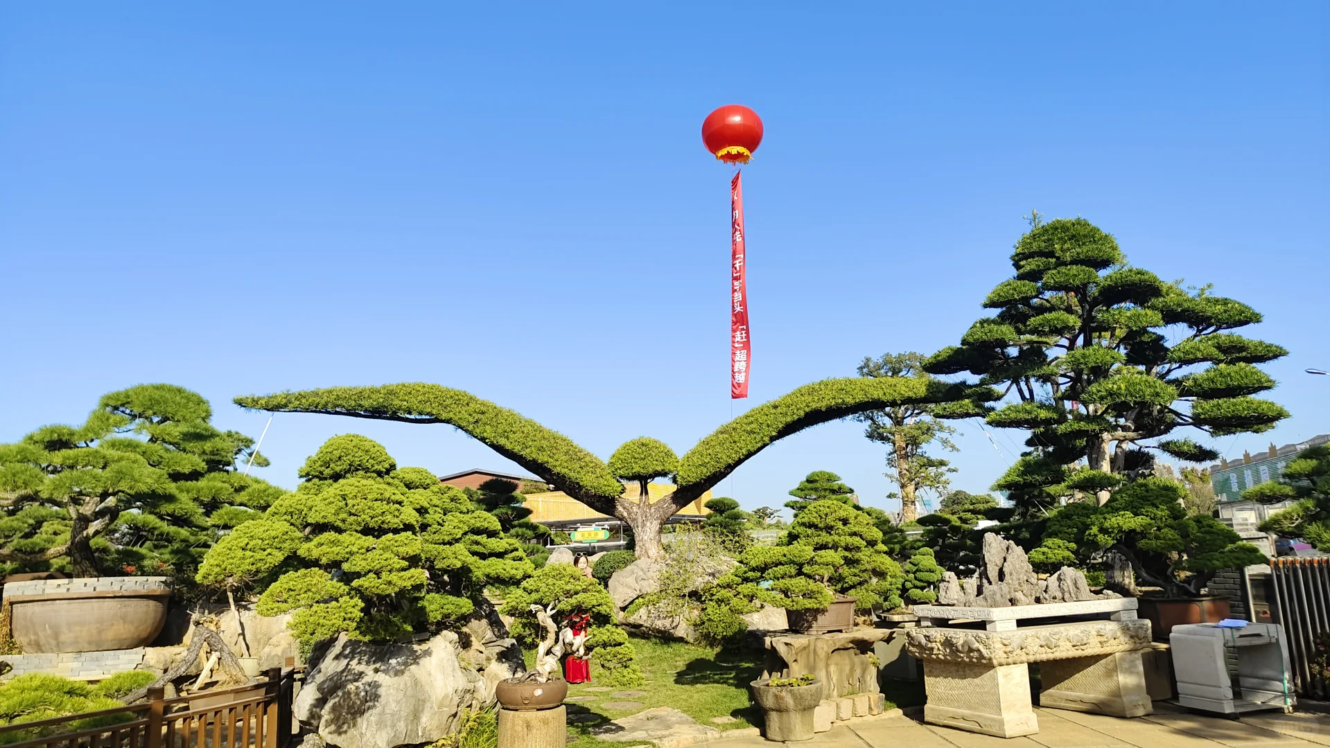 金华花卉苗木博览会