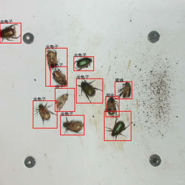 大数据采集应用，为农业精细化提供支持。